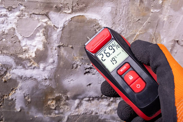 Best Mold Remediation for Schools in Roosevelt Park, MI
